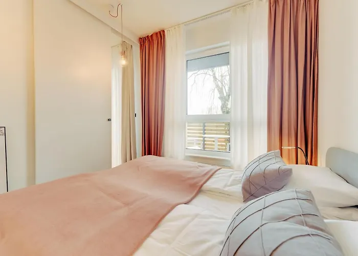 Oak Tree Surfingbird * Dźwirzyno